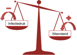 Weegschaal